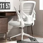 Office Chair, Ergonomic Desk Chair 