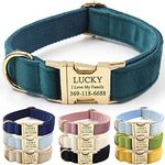 PETDURO Custom Dog Collar Personalized with Name Engraved Gold Metal Buckle for Large Medium Small Boy and Girl Dogs - Dog Leash and Bow Tie Set Available - Soft Comfy Velvet (Gem Green, M)