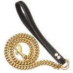 Gold Dog Leash, Golden Chew Proof Indestructible Cool Metal Leash Chain Link Leash for Aggressive Dogs(0.75inch,35inch)