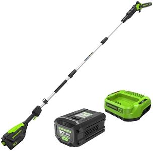 Greenworks