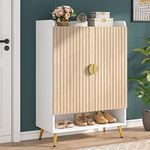 Tribesigns Shoe Cabinet with Doors,