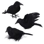 3 Pack Halloween Crows Artificial Feathered Crows Realistic Raven Birds Decorations Animal Ornament Spooky Black Feather Crow Bird for Halloween Party Prop Indoor Outdoor Home Garden Decoration Model