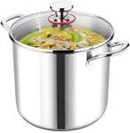 LIANYU 10 Quart Pot with Lid, 10QT Tri-Ply Heavy Duty Stock Pot, 18/10 Stainless Steel Stockpot, Canning Pasta Cooking Stockpot for Induction, Gas&Electric Cooktops, Visible Lid
