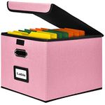 Okydoky Portable File Organizer Box with Lids, Collapsible Linen Hanging Filing Storage Boxes with Plastic Slide, Decorative Home/Office Filling System for File and Folders Storage (Pink,1p,LG)