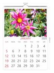 Shashiv 12 Sheets Wall Hanging Wiro Calendar 2025 Suitable For All Generations, Home Environment, Office And For Gifting Purpose In Size 12.5" x 17.75" (C4)