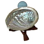 NessaStores 2 pc | Abalone Shell 2.5"-3.5" Inches & Tripod Stand 4" Inches | Beautiful All Natural Smudge Bowl - Perfect for Smudge Sticks, Incense Sticks and a Sage Smudge Kit. JC-210-D