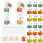 Treela 24 Sets Pumpkin Candles Fall Baby Shower Party Favors for Guests Little Pumpkin Shape Tealight Candle for Thanksgiving Autumn Baby Shower Wedding Birthday Thank You Return Gifts(Multicolor)