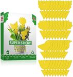 36 Pcs Sticky Traps for Fruit Fly, Whitefly, Fungus Gnat, Mosquito and Bug, Yellow Sticky Insect Catcher Traps for Indoor/Outdoor/Kitchen, Extremely Sticky Fly Trap, Non-Toxic, 4 Shapes