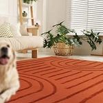 LEEVAN Washable Rugs for Living Roo