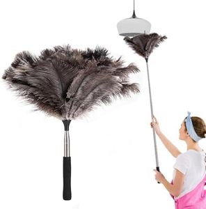 Ostrich Fe