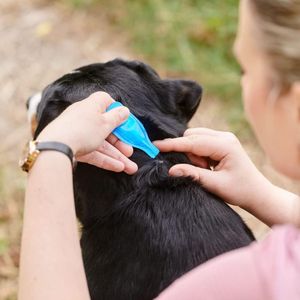 Beaphar FIPROtec Flea & Tick Treatment for Medium Dogs