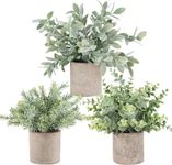 Der Rose 3 Pack Mini Potted Fake Pl