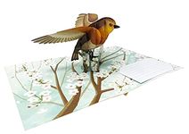 Amazing Birds - 3D Pop Up Greeting Card For All Occasions - Love, Birthday, Christmas, Goodluck, Congrats, Get Well - Blank Inside for Personalized - Thick Envelope, Fold Flat (American Robin)