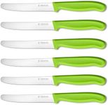 targzier Tomato Knife Set of 6,Serrated Kitchen Knives,Ultra Sharp Edge,Classic Stainless Steel Utility Knife,Wavy Edge Tomato Knives&Table Knives,Plastic Handle Dinner Knife,Dishwasher Safe(Green)