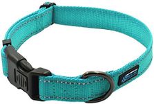 Max and Neo NEO Nylon Buckle Reflective Dog Collar - We Donate a Collar to a Dog Rescue for Every Collar Sold (Large, Teal)