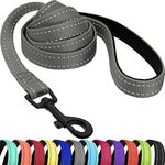 CollarDirect Nylon Dog Leash 5ft for Daily Outdoor Walking Running Training Heavy Duty Reflective Pet Leashes for Large, Medium & Small Dogs (Grey, Large)