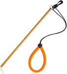 Pecihiko Scuba Diving Stick, 13'' Aluminium Alloy Lobster Tickle Stick Pointer Rod with Measurement, Adjustable Lanyard and Swivel Snap Bolt for Underwater Shaker Noise Maker Snorkeling Gold