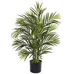 EaglesFord Areca Palm Plant with Pot| Indoor, Outdoor and Balcony Plant | 1 feet Live Areca Plam Tree