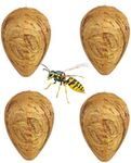 CuiCanfla 4 Pack Wasp Nest Waterproof Artificial Wasp Trap Waterproof for Homes and Gardens Outdoor Wasp Repellent