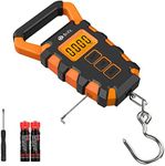 Newest Digital Fishing Scale with R