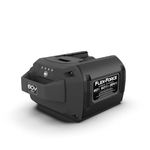Hayter/Toro Flex Force 6.0Ah 60V Battery