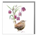 Lola Design - Wildlife Botanical Greeting Cards, Floral Wren Bird Design - Suitable for Birthdays, or Celebrations for a Female Friend - Blank Card with Grey Envelope - 150mm x 150mm