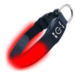 Fun Pets LED Dog Collar in Red - USB Rechargeable Pet Safety Collar - Great Visibility & Improved Safety (40cm - 50cm / 15.7" - 19.7")