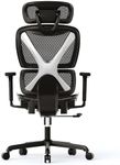 GABRYLLY Ergonomic Office Chair with Lumbar Support, Big and Tall Mesh Chairs with Adjustable 3D Arms, Headrest & Soft Seat, Large Desk Chair for Home Gaming,Black