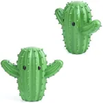 Cactus Dryer Balls