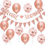 13th Birthday Decorations Rose Gold Glitter Official Teenager Banner Kit Women 13th Birthday Party Decorations by Wonsta