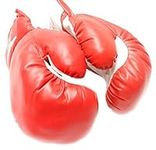 1 Pair of New Boxing/Punching Glove