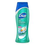 Dial Body Wash, Himalayan Salt & Exfoliating Beads, 16 Fl. Oz