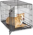 Dog Crate | MidWest iCrate 36" Fold