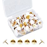 150 Pcs White Thumb Tacks Push Pins Round Head Metal Thumbtack Drawing Pins Board Pins Map Tacks Decorative Thumb Tacks Golden Steel Point Flat Pins for Map, Photo Wall, Cork Board Bulletin