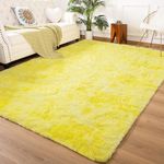 Andecor Shag Area Rug for Living Ro