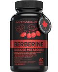 Berberine Supplement - Max Potency 500MG Per Capsule - Supports Glucose Metabolism - Healthy Blood Sugar Levels Through Efficient Metabolism Of Glucose (Sugar) And Lipids (Fats) - 60 Capsules