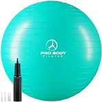 ProBody Pilates Ball Exercise Ball,