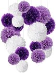 Tissue Paper Pom Poms Recosis Paper Flower Ball for Birthday Party Wedding Baby Shower Bridal Shower Festival Decorations 18 Pcs - Purple Lavender and White