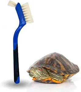 Turtle Cleaning Brush - Gently Remove Dirt from Turtles and Tortoises - Blue by Snout and Shell