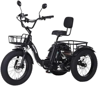 NARRAK Electric Tricycle for Adults, 750W(Peak 1350W), 48V13Ah Ebike, 20"x4.0" Aluminum Folding Fat Tire 3 Wheel Electric Trike, Max 20MPH Hydraulic Brake, Rear Motor Differential