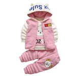 Bold N Elegant 3D Fur Bear Cartoon Thick Winter Warm T-shirt Pant with Hood Jacket 3 Pc Clothing Set for Infant Toddler Kids (1-2 Years, Pink)