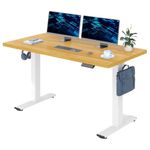 FLEXISPOT 160x80cm Electric Standing Desk Height Adjustable Desk ONE PIECE Sit Stand Desk Stand Up Desk with Memory Smart Pannel (White Frame+Maple Desktop)