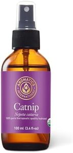 Aromatics International Catnip Hydrosol 100ml | Fresh Minty Natural Aromatic Mist for Home, Mood & Daily Use