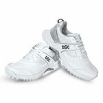 DSC Jaffa Neo Cricket Shoes for Mens, Size - 8, Color - WHSL24