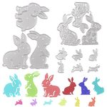 URROMA Rabbit Cutting Dies, 13 PCS Rabbit Metal Cutting Dies for Scrapbooking Paper Crafts Card Making Album Stamp DIY Decor