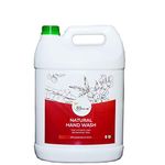 EcoSattva 3R Natural Chemical-Free Herbal Soap Nut Extract Hand-wash Citrus Fragrance Organic Handwash (5 L)