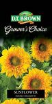 DT Brown Grower's Choice Double Delight F1 Sunflower Seeds