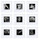 HEART ART 10x10 White Picture Frames set of 9, Display Photos 6x6 with Mat or 10 x 10 without Mat, Gallery Wall Frames Set