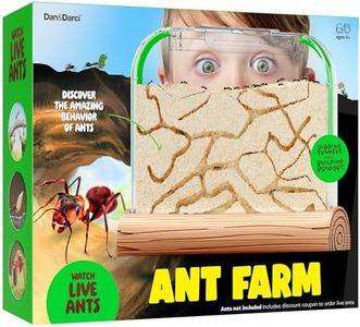 Ant Farm K