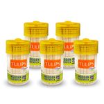 Tulips Disposable Wooden Toothpicks Pack of 5 (Reusable jar)